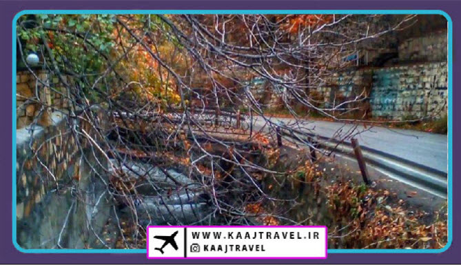 بلیط اتوبوس مشهد بجستان کاج تراول